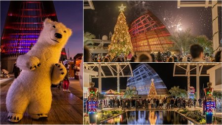 MixCollage-03-Dec-2024-10-31-AM-6008