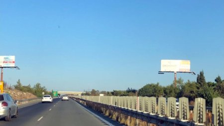 Collage Maker-23-Jun-2023-08-26-AM-3057