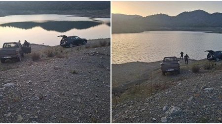 cats_jOawhvD.width-750