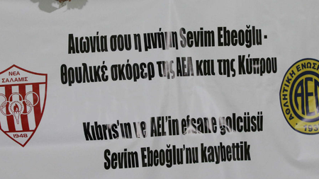 998b6c90-6e43-4b0a-a250-f1d8ac92a46e.jpg