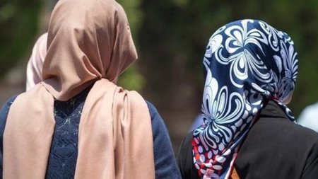 cats_tar62ed.width-750