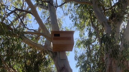 φωλιές ανθρωποπουλιών Bioland