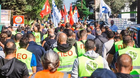 ΑΠΕΡΓΟΙ ΣΚΥΡΟΔΕΜΑΤΟΣ