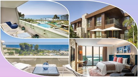 MixCollage-28-Nov-2024-11-14-AM-3529