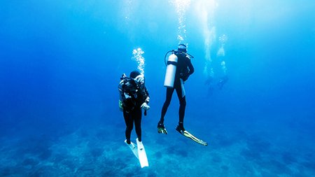 shutterstock_635388473