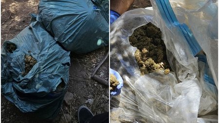 page_5tO3c8e.width-750