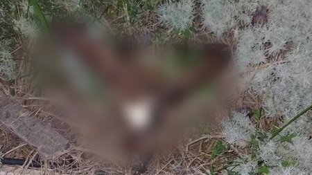 474713445_963758555245318_6853255121371263250_n