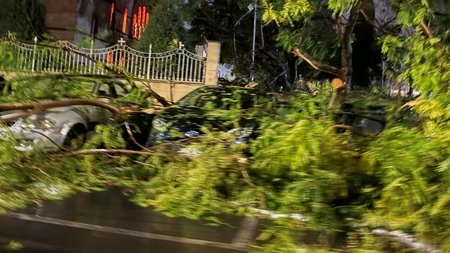 465288762_2456017151261304_949921687801749342_n