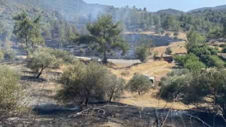 Collage Maker-04-Aug-2023-07-52-AM-4370