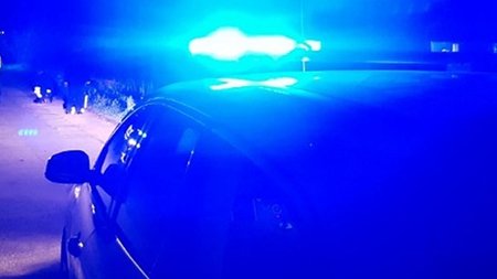 cats_tkzHTJD.width-750