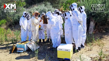 1-world-bee-day-article-xm-logos (1)