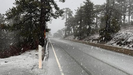 9700cfb5cc7531b0c06726352a65f9b8