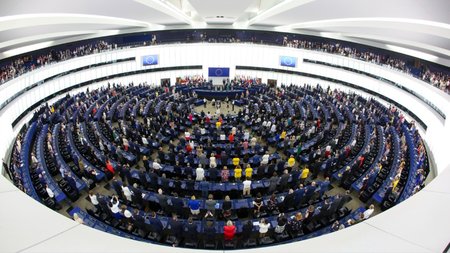 MixCollage-15-Feb-2024-08-25-AM-7622