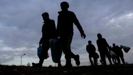 METANASTES_MFumU29.original