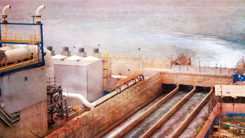 nero-afalatosi_ID_637982-2