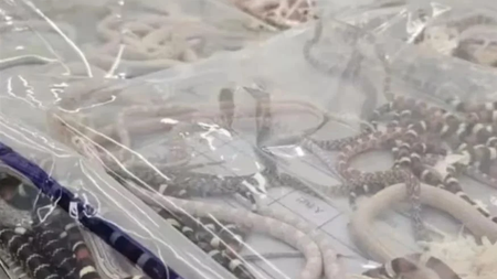 47d8bc8f-264e-43c2-9e01-303f4146cd9f