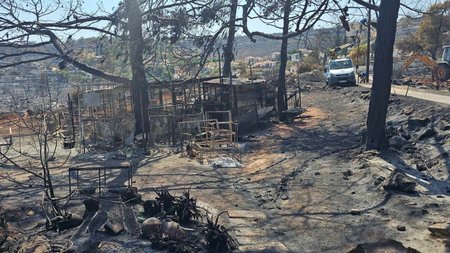 523882865_2260428091080450_3271819821243924950_n