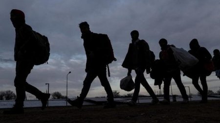 metanastes.width-750