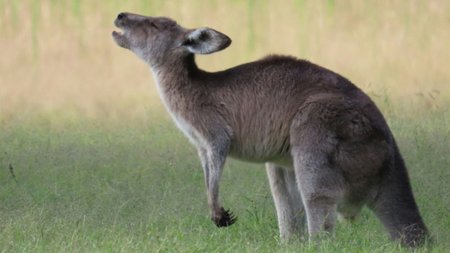 ad31c87d-1782-4013-b233-d1b8e3c8e3fa_mixcollage-13-may-2025-12-05-pm-8822