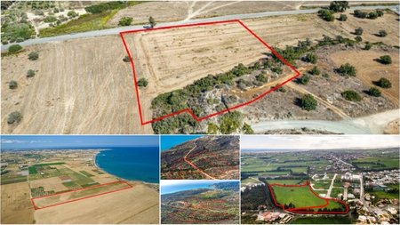 MixCollage-23-Apr-2025-10-42-AM-3923