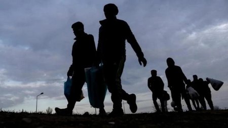 METANASTES_MFumU29.original