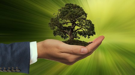 business_sustainability