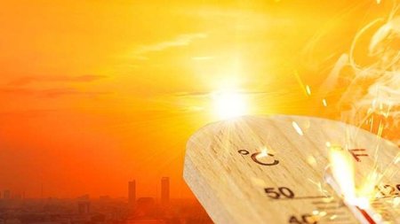 cats_EpX8B01.width-750