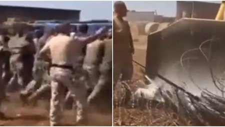 800.width-750.width-750