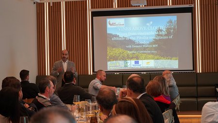 VINES ABOVE THE CLOUDS ONE