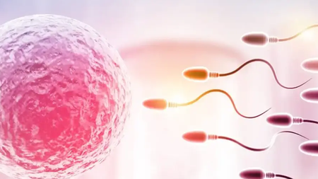 iStock-1816292253-1200x6751-1