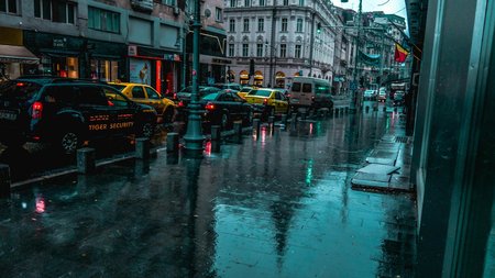 pexels-alexpham-950223