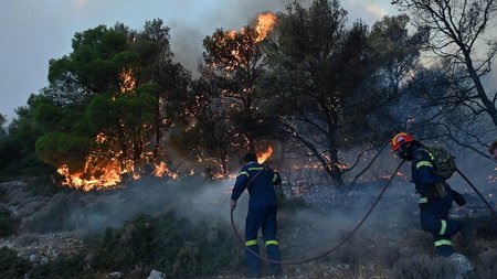 1200_053e3916-3ded-423d-87f0-793f559d0d43