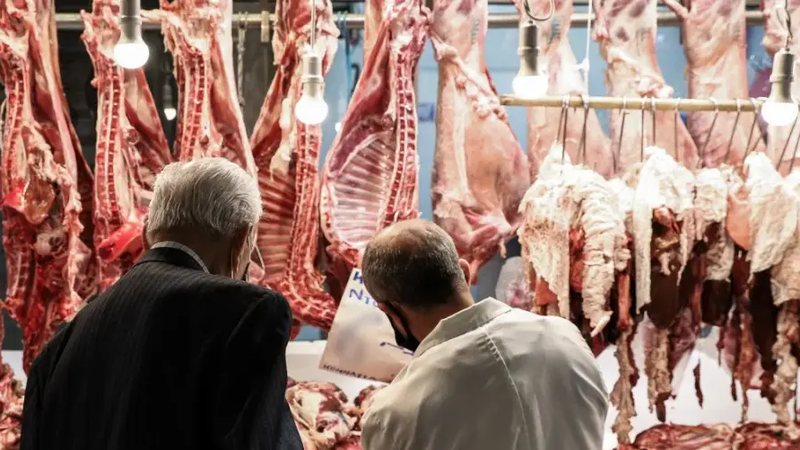 d7e4a5a2a3cad85ad8b37abcaecbbf19_XL