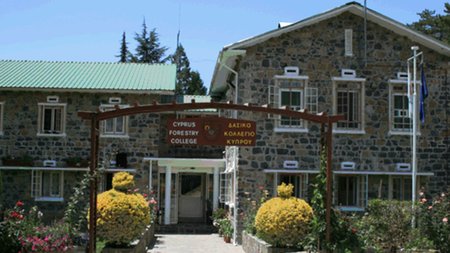 dasiko kollegio main