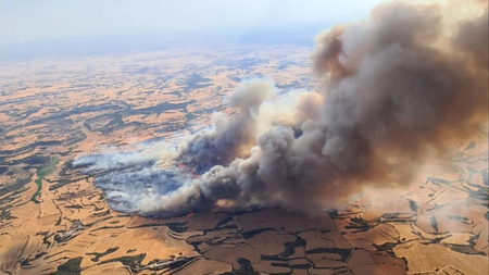 mixcollage-02-jul-2025-05-34-am-1987