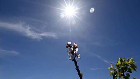 ilios-zesti-kafsonas