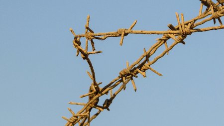 barbed wire