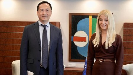 Ambassador of Vietnam Duong Hai Hung Annita Demetriou