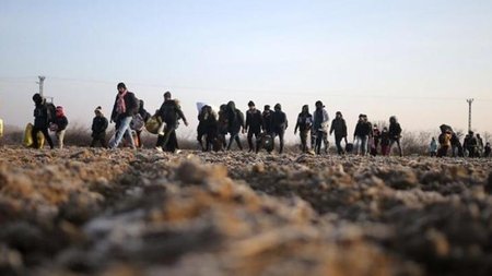 52.2e16d0ba.fill-1200x630