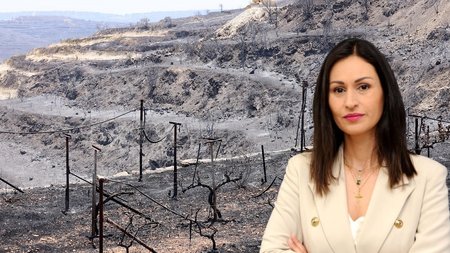 ΠΥΡΚΑΓΙΑ ΛΕΜΕΣΟΣ-ΜΑΡΙΑ ΠΑΝΑΓΙΩΤΟΥ