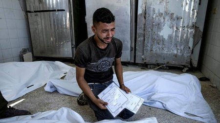 b253eb6e-AP24226403718980