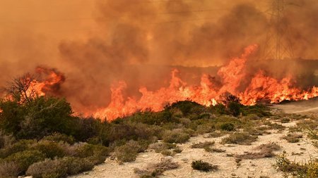 Φωτο Ανακοίνωσης
