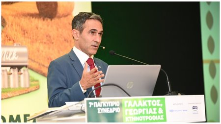 MixCollage-18-Jun-2024-01-51-PM-8662