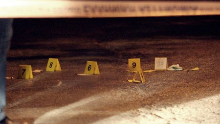 491214648_2451809181845344_6771698604866056932_n