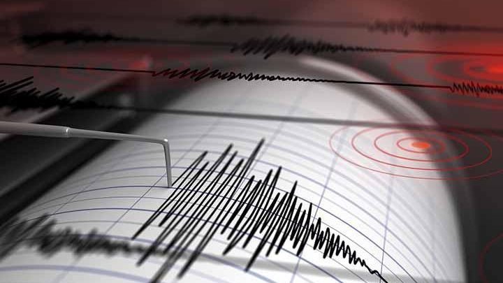 seismografos