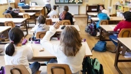 cats_lcMVcxV.width-750