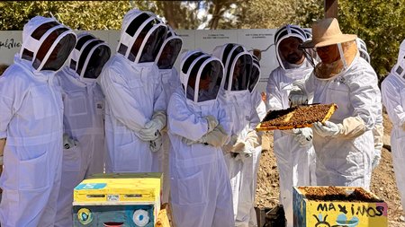 world-bee-day-article