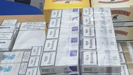 cache_500x500_2462759_1884074_15122021013629