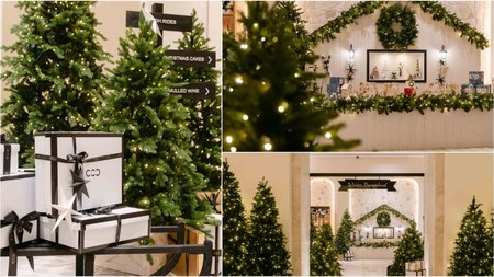 MixCollage-16-Dec-2024-11-19-AM-7635