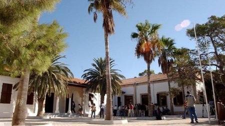 cats_ptdDWXW.width-750